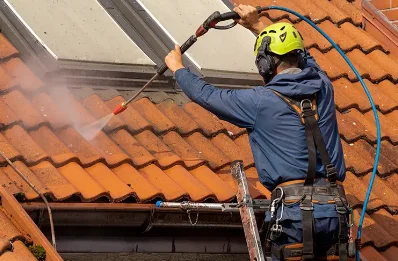 Démoussage et hydrofuge de toiture à Brégnier-Cordon